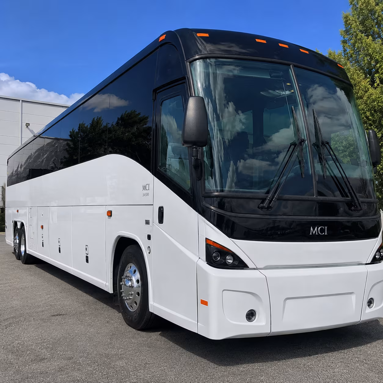 book the perfect ride for your next bachelor or bachelorette party 1