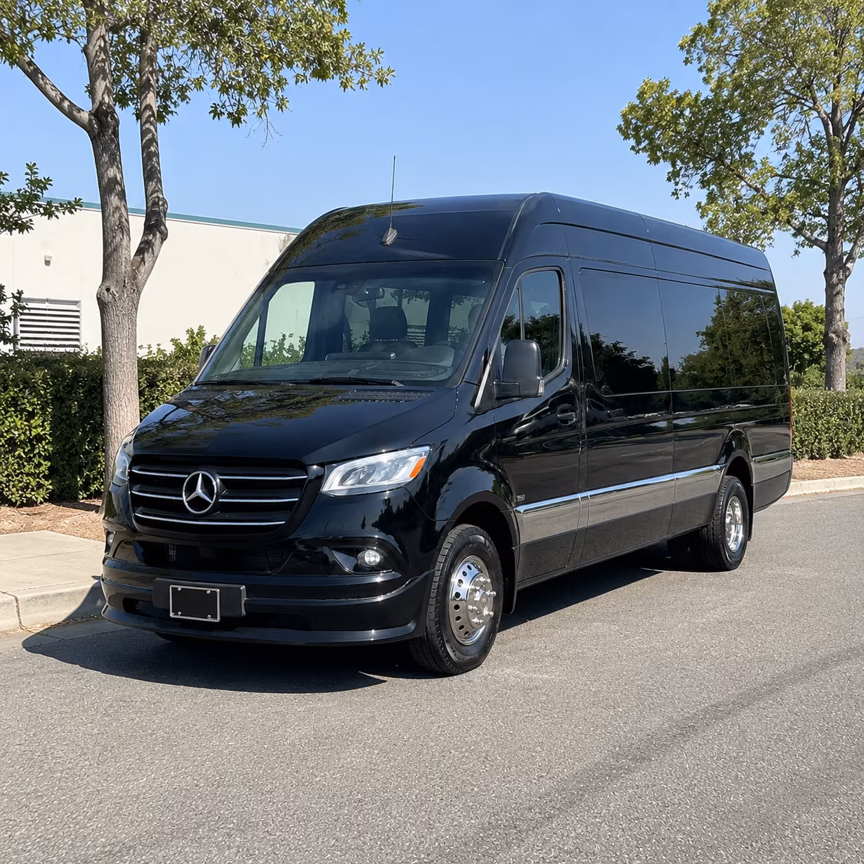 lewisville bachelor bachelorette transportation
